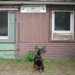 DELA DV ABT. WEISBADEN