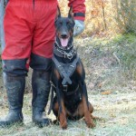 CORA