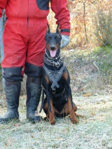 CORA