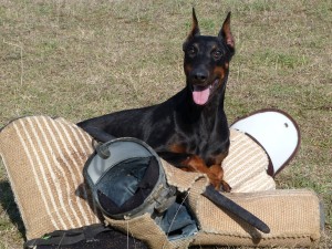 DELA VON DER BURGSTATTE