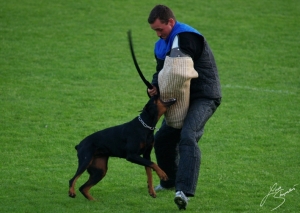 DELA VON DER BURGSTATTE IDC 2008