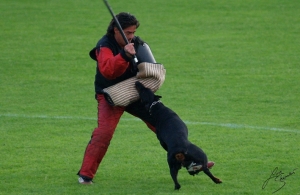 DELA VON DER BURGSTATTE IDC 2008