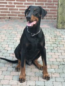 ERAN VOM SCHWARZEN WÄCHTER