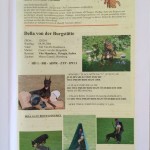 DELA SU UNSER DOBERMANN AKTION VETERANEN