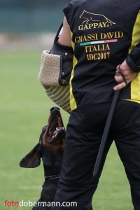 Zodt von der Zonser Heide

IDC WM 2017 Test Dog-Probehund