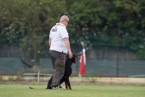 IDC WM 2017 Test Dog-Probehund