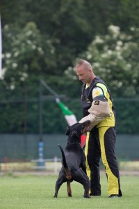 IDC WM 2017 Test Dog-Probehund