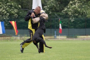 IDC WM 2017 Test Dog-Probehund