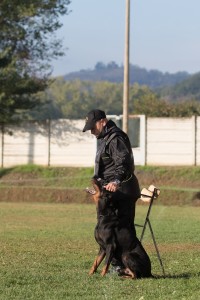 IMG_1696