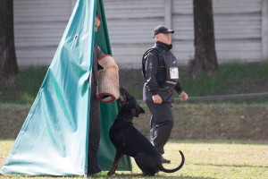 Campionato Sociale AIAD 2016