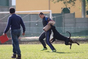 Campionato Sociale AIAD 2016