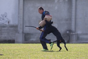 Campionato Sociale AIAD 2016