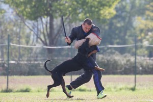 Campionato Sociale AIAD 2016