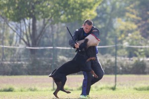 Campionato Sociale AIAD 2016