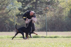 Campionato Sociale AIAD 2016