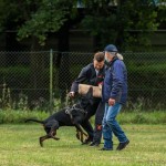 IMG_2276