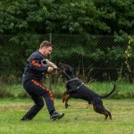 IMG_2293