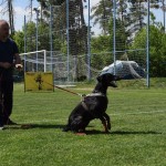 IMG_8271