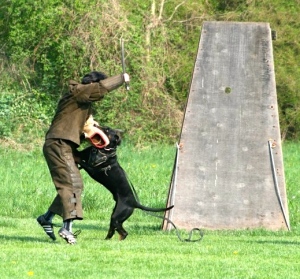 ZODT VON DER ZONSER HEIDE ZTP