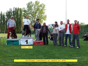 allevamento-doberman-13