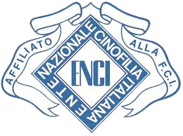 fci-associato
