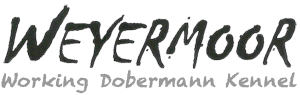 logo-weyermoor-big